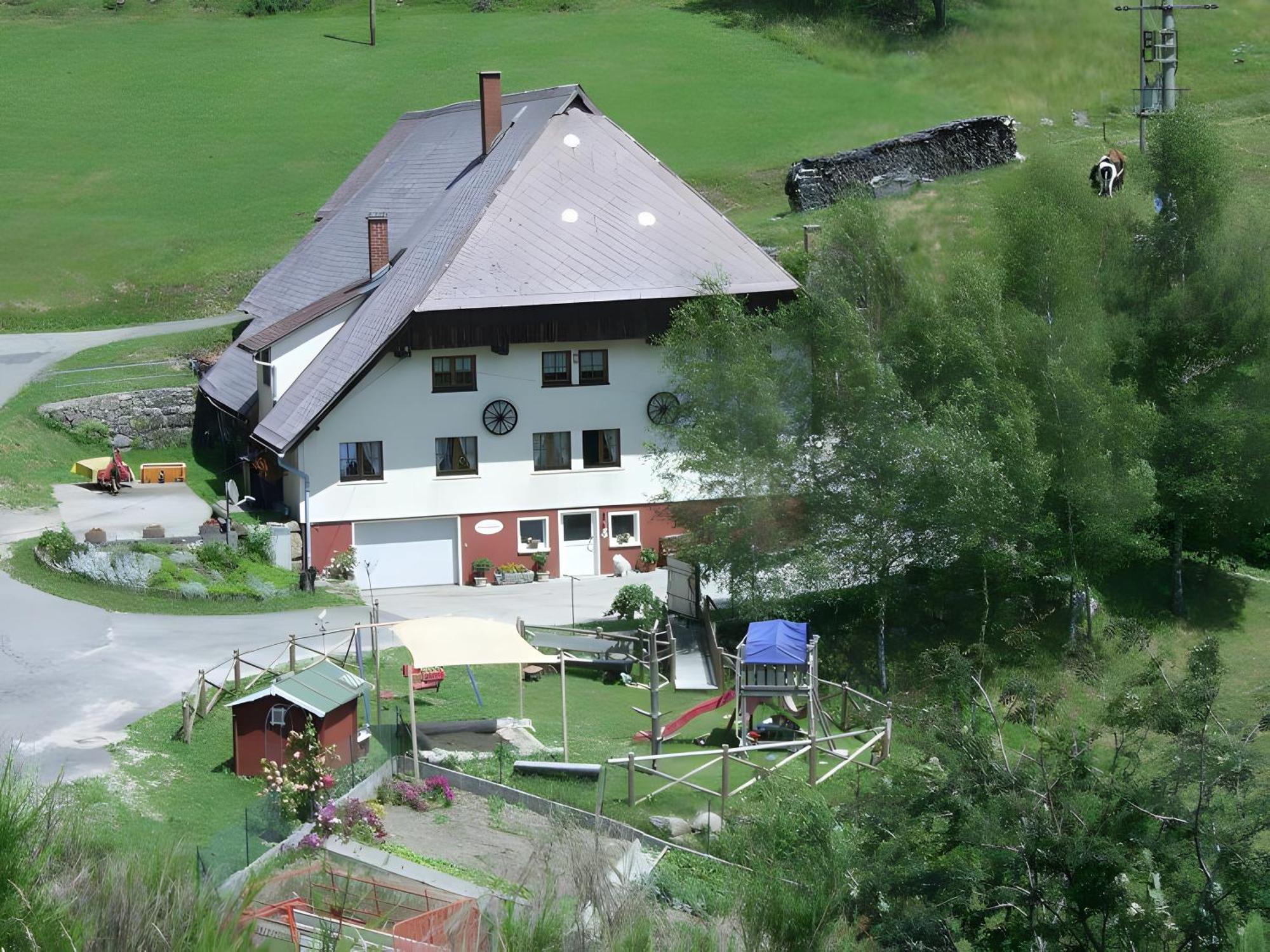 Hinterhauensteinhof Villa Hornberg Kültér fotó