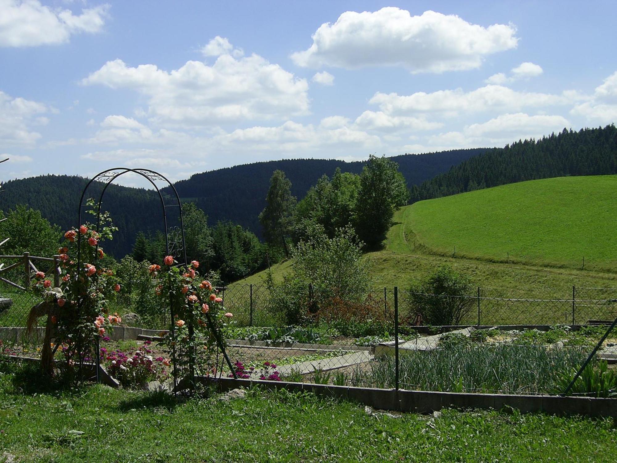 Hinterhauensteinhof Villa Hornberg Kültér fotó