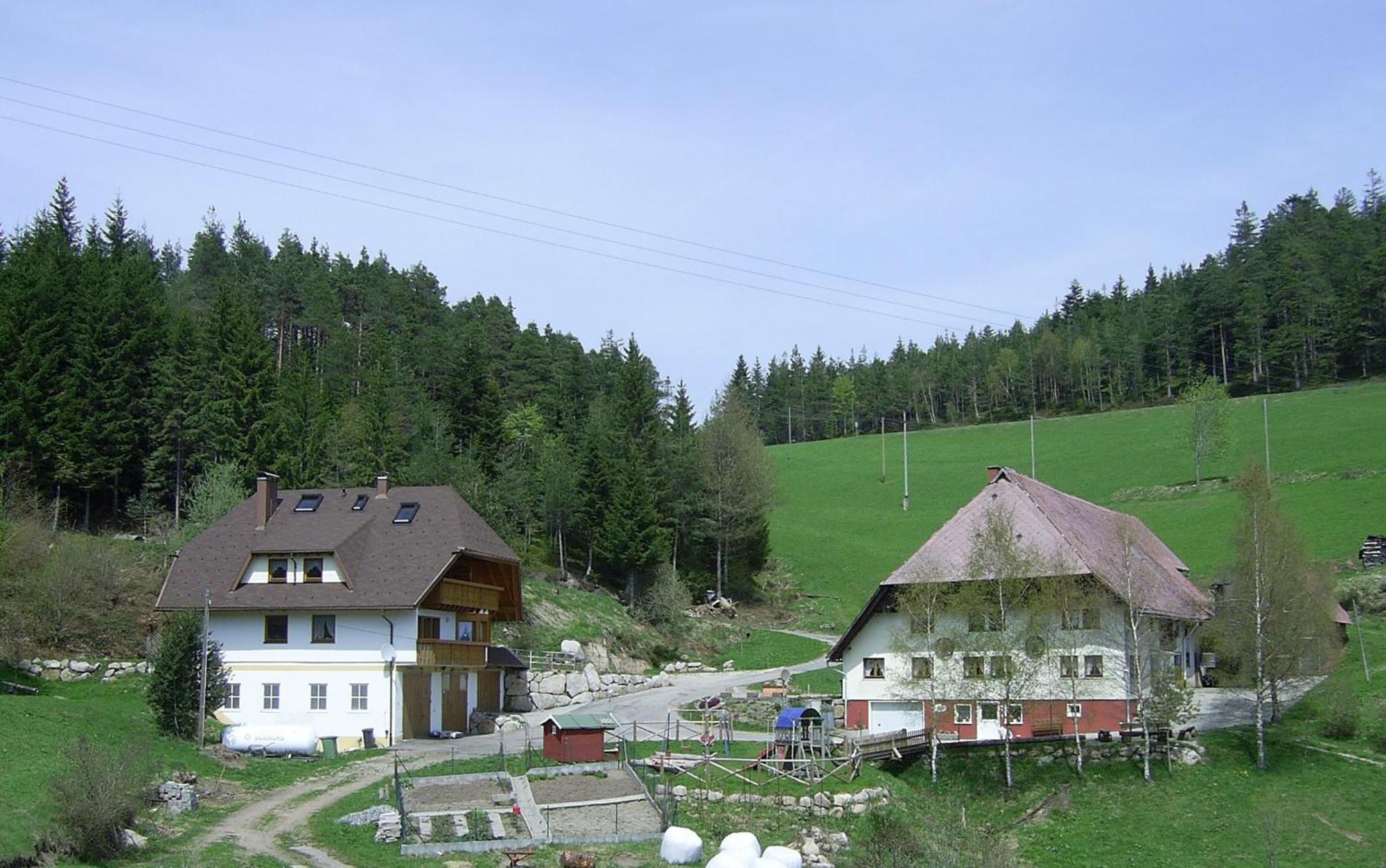 Hinterhauensteinhof Villa Hornberg Kültér fotó